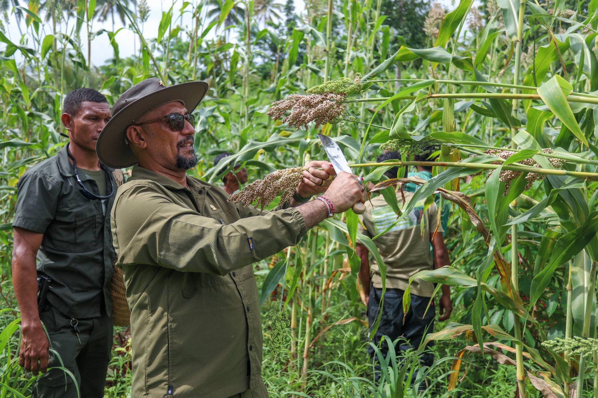 𝗦𝗘𝗞𝗼𝗼𝗽 𝗥𝗲𝗮𝗹𝗶𝘇𝗮 𝗞𝗼𝗶𝗹𝗹𝗲𝘁𝗮 𝗕𝗮𝗳𝗼 𝗞𝗮𝘆𝗿𝗮𝗹𝗮 𝗛𝗲𝗸𝘁𝗮𝗿𝗲𝘀 𝟲 𝗶𝗵𝗮 𝗦𝘂𝗸𝘂 𝗦𝗼𝗿𝘂, 𝗟𝗼𝘀𝗽𝗮𝗹𝗼𝘀.